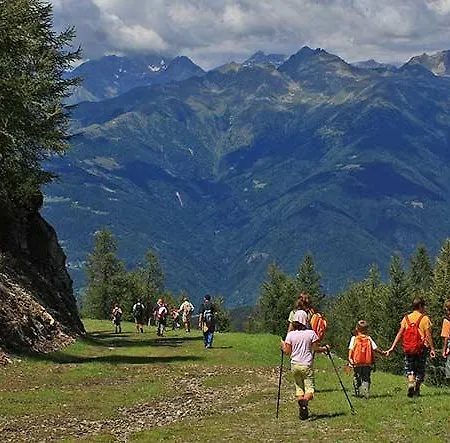 Mountain House Riky * Aprica